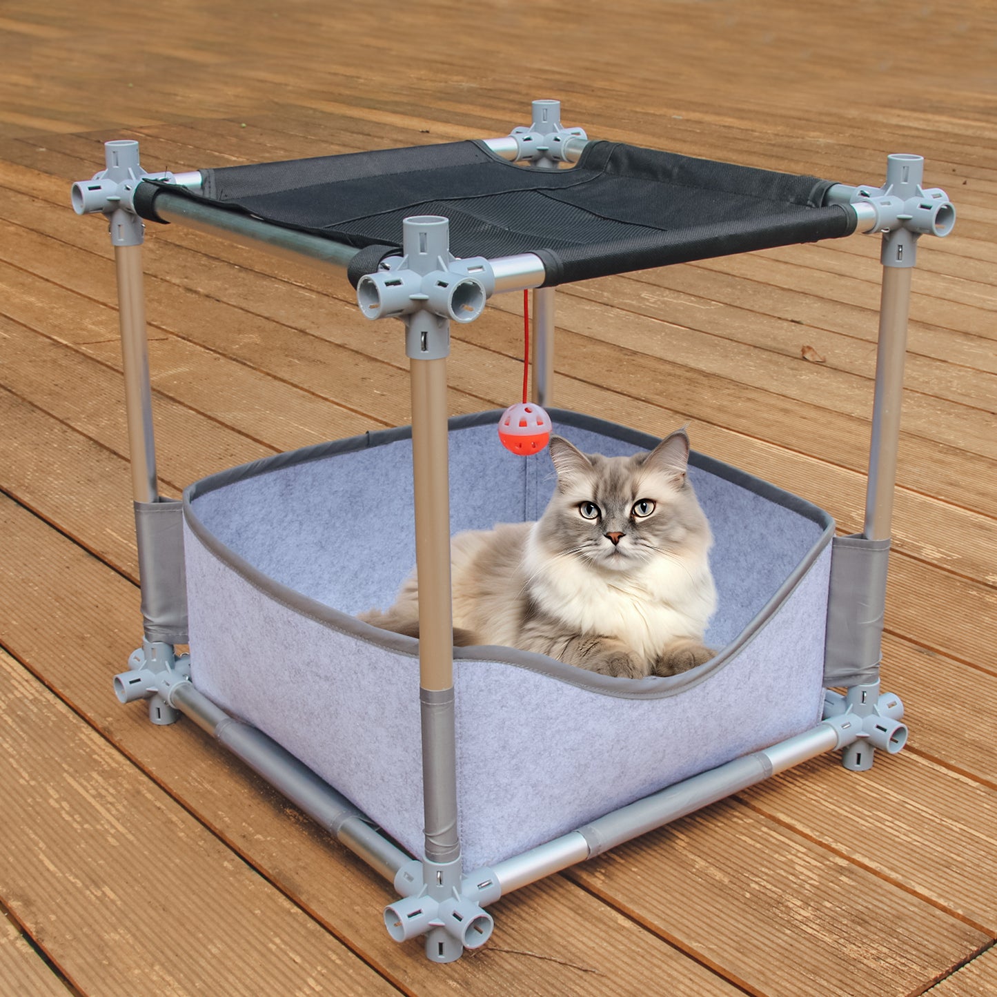Kitten Bed