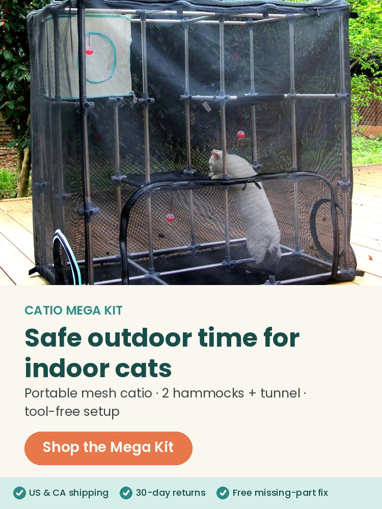 Plan A hero A mobile cream split white cat
